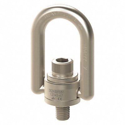 Hoist Ring 24-3in 311 ft.-lb ENHDHRM