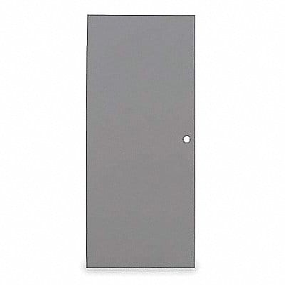 D3584 Flush Steel Door 84x48 In 18 ga