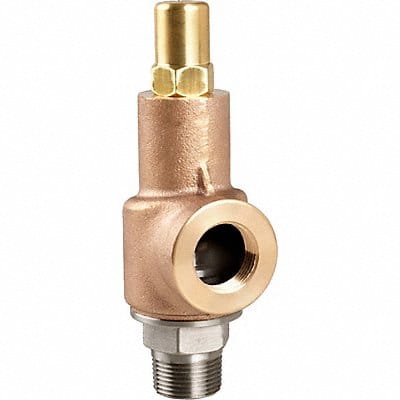 D4558 Adjustable Relief Valve 1-1/2 In 600 psi