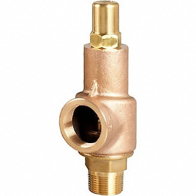 D4521 Safety Relief Valve 1-1/4 x 1-1/2 250psi