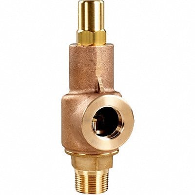 D4552 Adjustable Relief Valve 1-1/2 In 30 psi