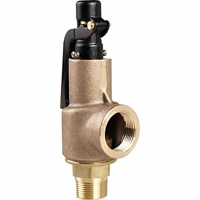 D4513 Safety Relief Valve 1 x 1-1/4 In 75 psi