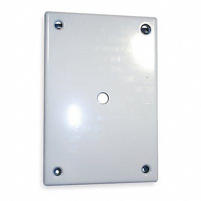 Security Wall Plate White