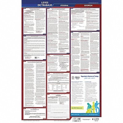 Labor Law Poster Fed/STA GA SP 26inH 3yr
