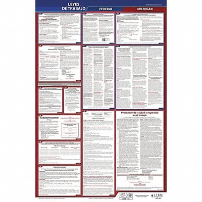 Labor Law Poster Fed/STA MN SP 26inH 3yr