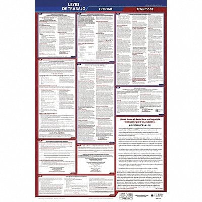 Labor Law Poster Fed/STA TN SP 26inH 3yr
