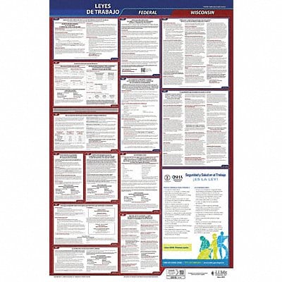 Labor Law Poster Fed/STA WI SP 26inH 3yr