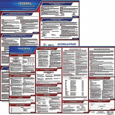 LaborLaw Poster Fed/STA CA ENG 20inH 1yr