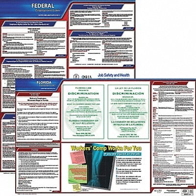 LaborLaw Poster Fed/STA FL ENG 20inH 1yr