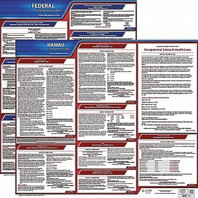 LaborLaw Poster Fed/STA HI ENG 20inH 1yr