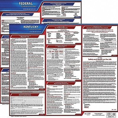 LaborLaw Poster Fed/STA KY ENG 20inH 1yr