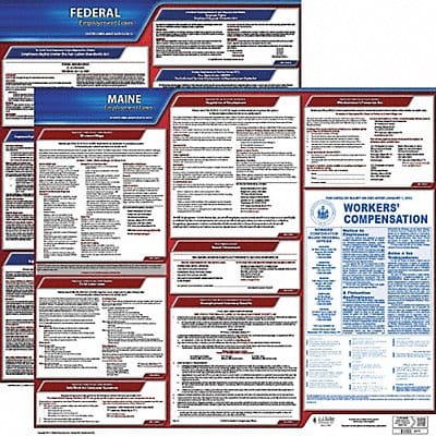 LaborLaw Poster Fed/STA ME ENG 20inH 1yr