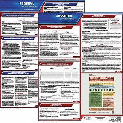 LaborLaw Poster Fed/STA MO ENG 20inH 1yr