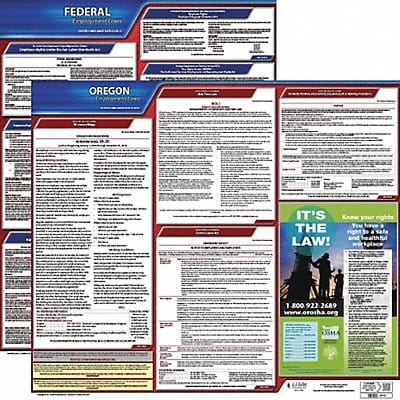 LaborLaw Poster Fed/STA OR ENG 20inH 1yr