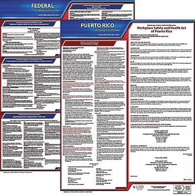 LaborLaw Poster Fed/STA PR ENG 20inH 1yr