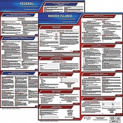 LaborLaw Poster Fed/STA RI ENG 20inH 1yr