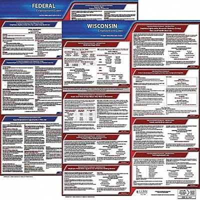 LaborLaw Poster Fed/STA WI ENG 20inH 1yr