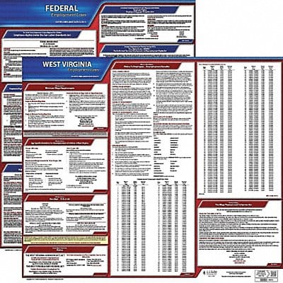 LaborLaw Poster Fed/STA WV ENG 20inH 1yr