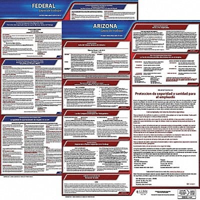 Labor Law Poster Fed/STA AZ SP 20inH 1yr