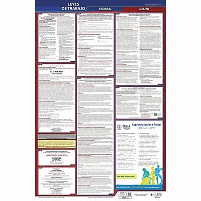 Labor Law Poster Fed/STA ID SP 26inH 1yr