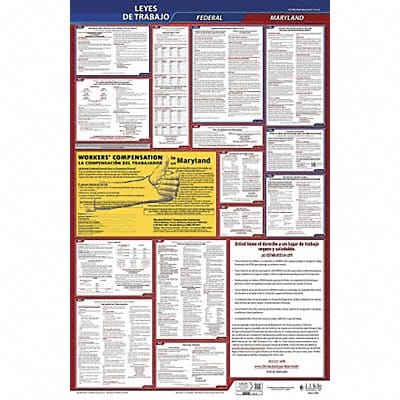 Labor Law Poster Fed/STA MD SP 26inH 1yr