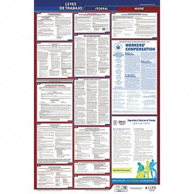 Labor Law Poster Fed/STA ME SP 26inH 1yr