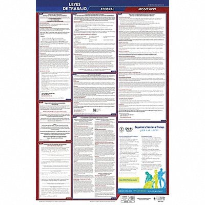Labor Law Poster Fed/STA MS SP 26inH 1yr