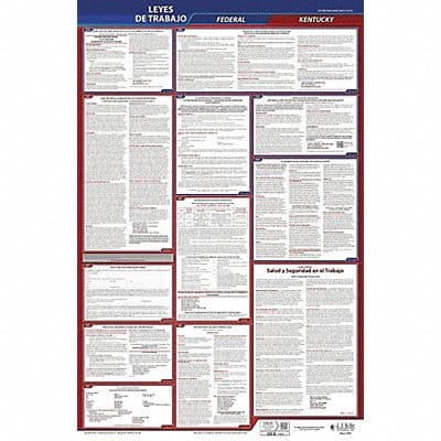Labor Law Poster Fed/STA KY SP 40Wx26inH