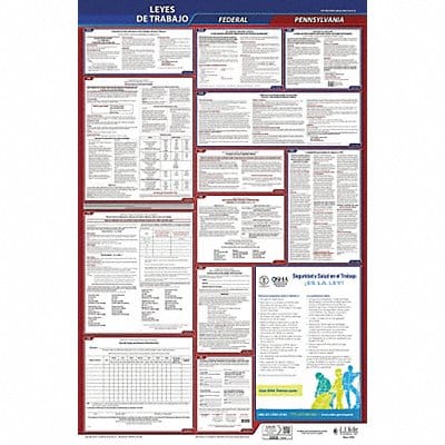Labor Law Poster Fed/STA PA SP 40Wx26inH