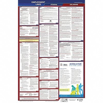 LaborLaw Poster Fed/STA DE ENG 26inH 1yr