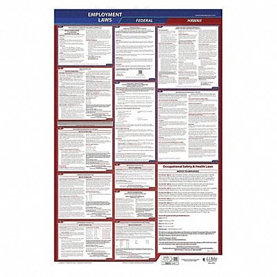 LaborLaw Poster Fed/STA HI ENG 26inH 1yr