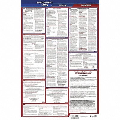 LaborLaw Poster Fed/STA TN ENG 26inH 1yr
