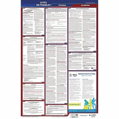 Labor Law Poster Fed/STA AL SP 26inH 1yr