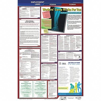 LaborLaw Poster Fed/STA FL ENG 40Wx26inH