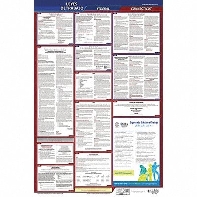Labor Law Poster Fed/STA CT SP 40Wx26inH