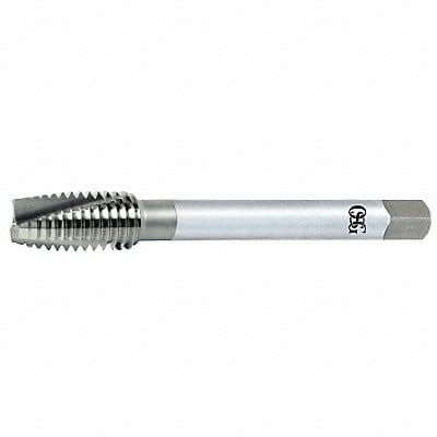 Spiral Point Tap #12-24 HSS