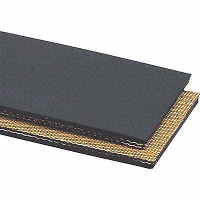 Conveyor Belt 2Ply 220 Ntrle Blk 18InW