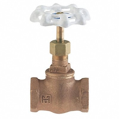 Globe Valve 2 Bronze FNPT 300 psi