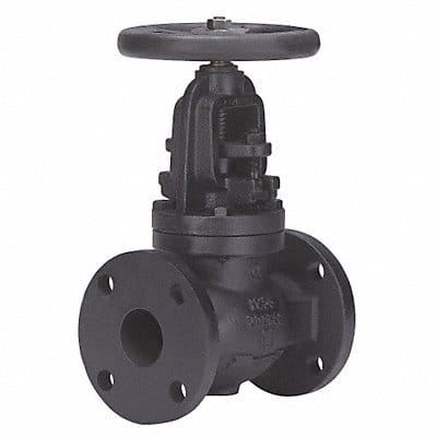 Globe Valve 6 Cast Iron Flange 125 psi