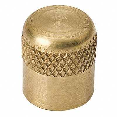1/4 SAE Cap Brass 700 psi