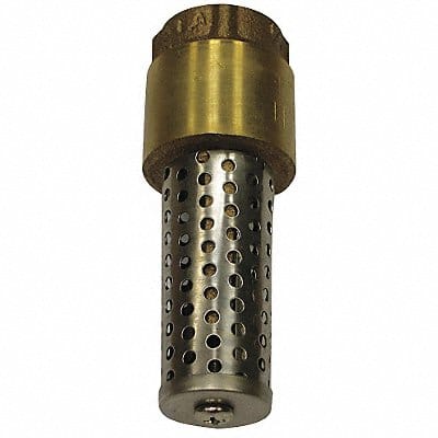 Foot Valve Spring Brass 3/4