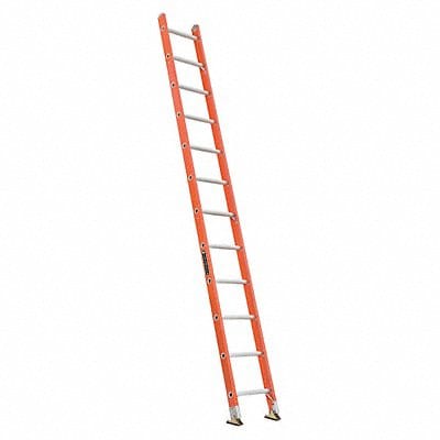 Straight Ladder 12 ft 300 lb Fg
