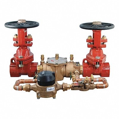 Double Check Detector Watts 007 2in FNPT