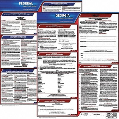 Labor Law Poster Fed/STA GA SP 20inH 3yr