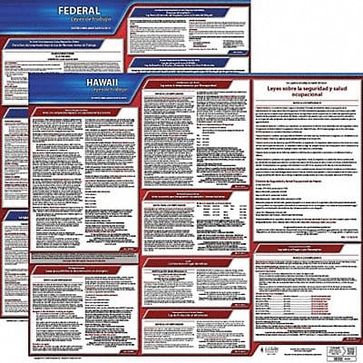Labor Law Poster Fed/STA HI SP 20inH 3yr