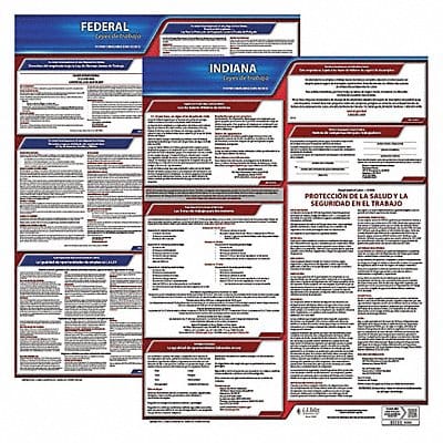 Labor Law Poster Fed/STA IN SP 20inH 3yr