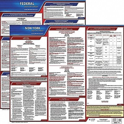 Labor Law Poster Fed/STA NY SP 20inH 3yr