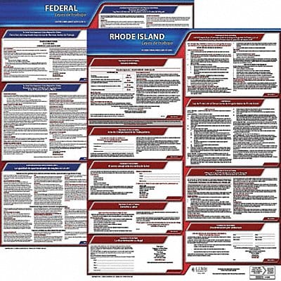 Labor Law Poster Fed/STA RI SP 20inH 3yr