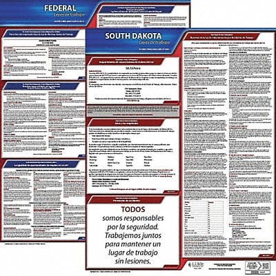 Labor Law Poster Fed/STA SD SP 20inH 3yr