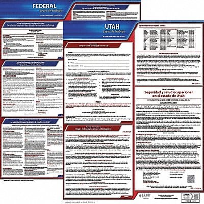 Labor Law Poster Fed/STA UT SP 20inH 3yr